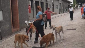 LA CASETTA DI ALE e del dog trekking